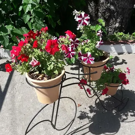 Apartament Stelios House *