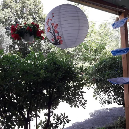 斯泰利奥斯之家公寓 公寓 艾斯普罗瓦塔