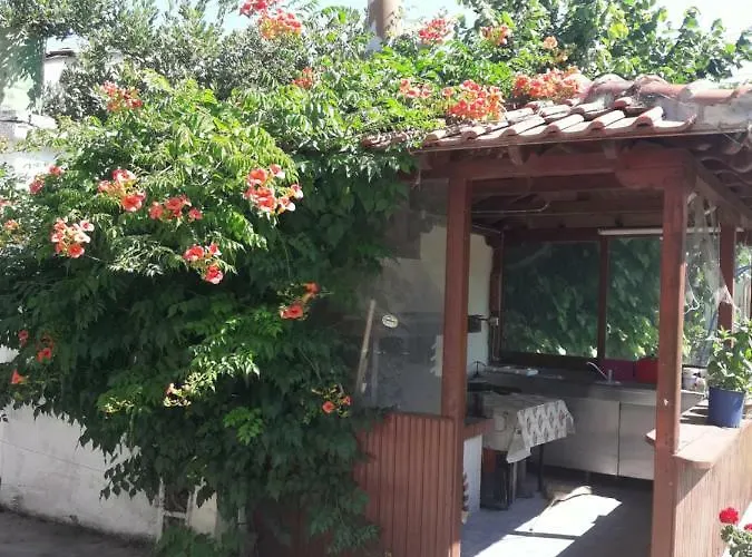 Stelios House