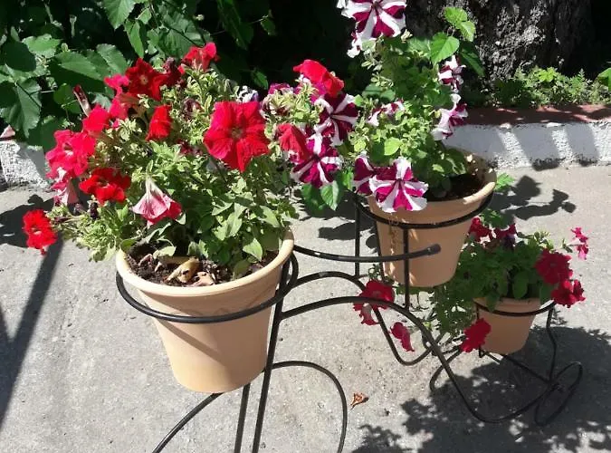 Appartement Stelios House *